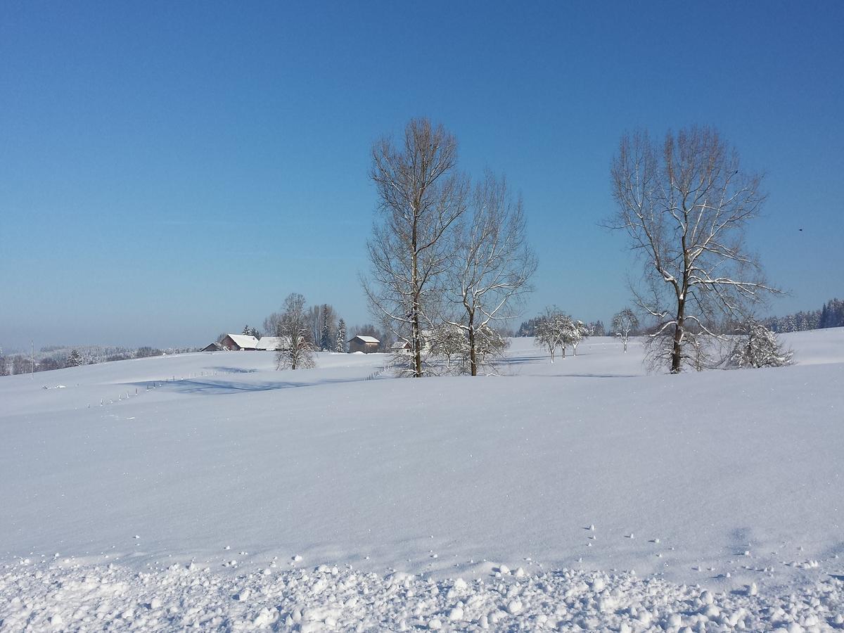 Ferienwohnung Sonnenschein Heimenkirch Екстериор снимка